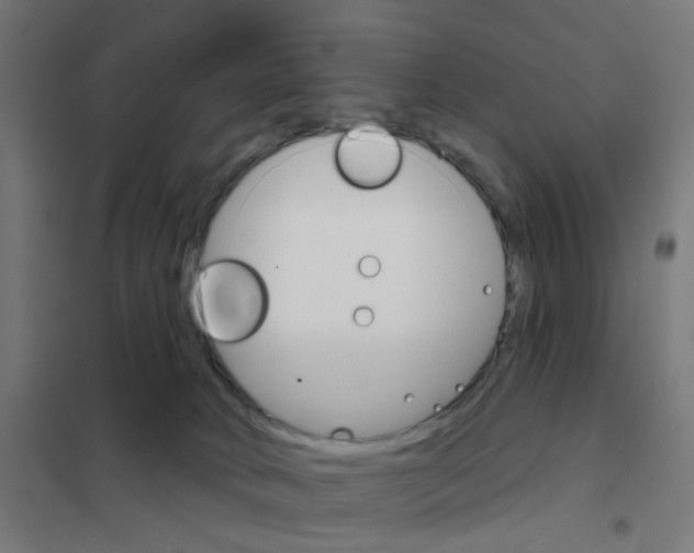 X0000101700034200808071209
