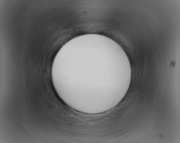 X0000101700035200808071209