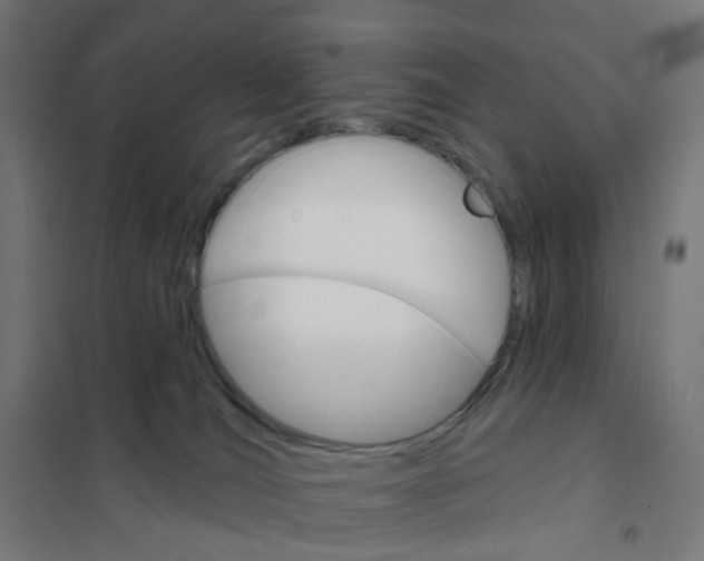 X0000101700036200808071209