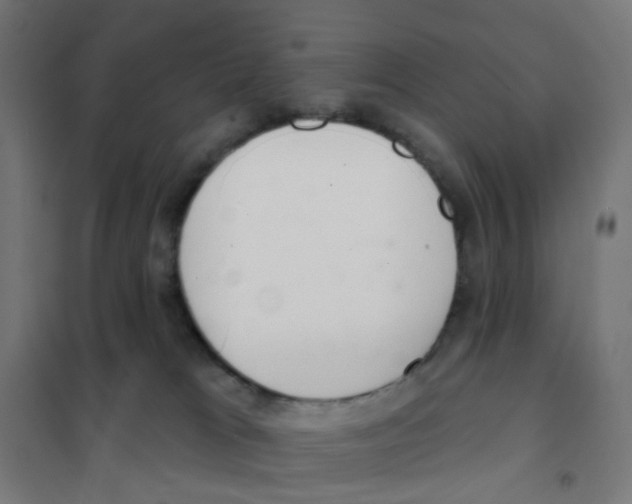 X0000101700037200808071209