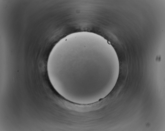 X0000101700039200808071209