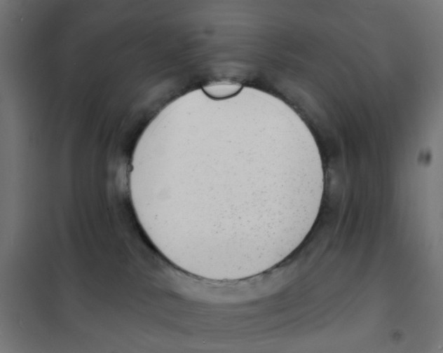 X0000101700042200808071209