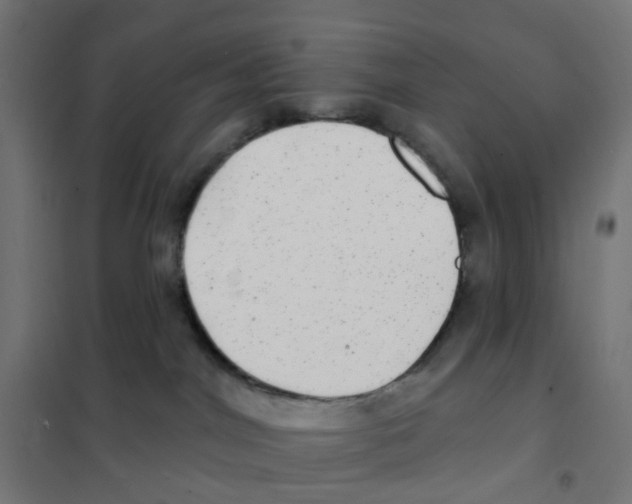 X0000101700044200808071209