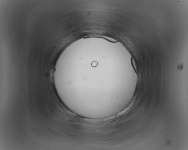 X0000101700045200808071209
