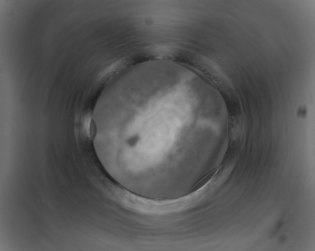 X0000101700047200808071209
