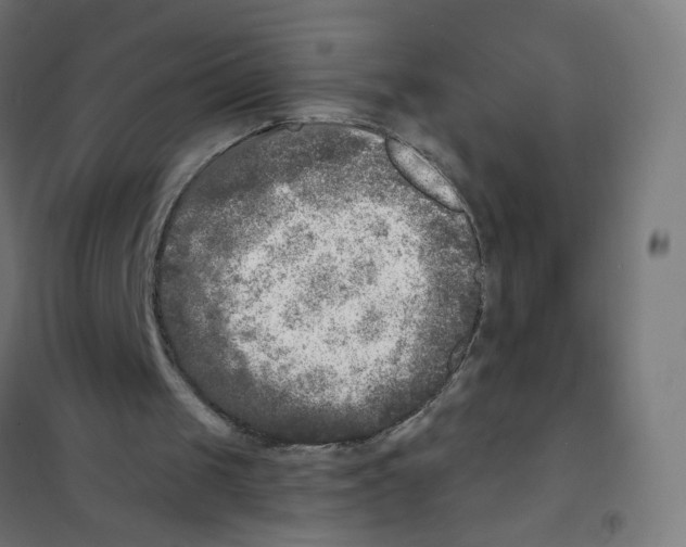 X0000101700049200808071208