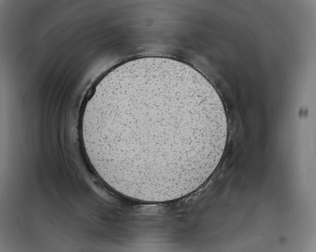 X0000101700050200808071208