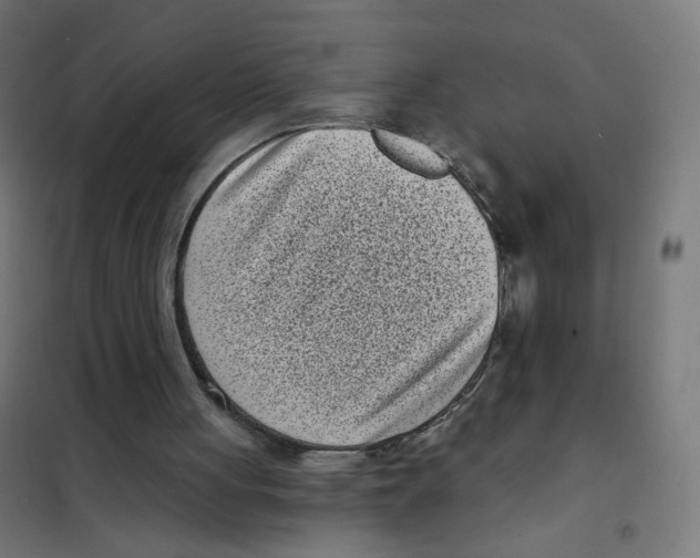 X0000101700051200808071209