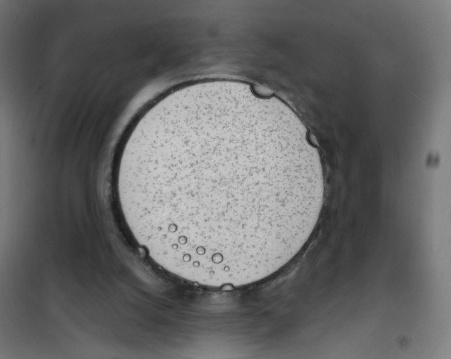 X0000101700056200808071209