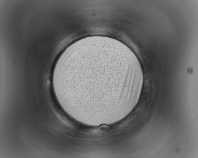 X0000101700059200808071209