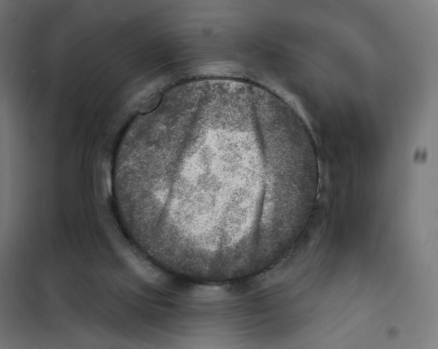 X0000101700061200808071209