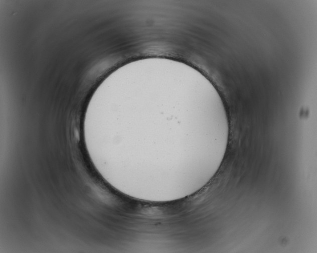 X0000101700062200808071209