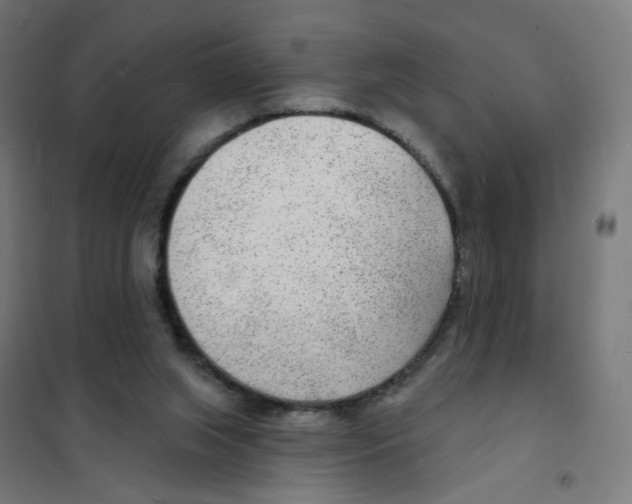 X0000101700063200808071209