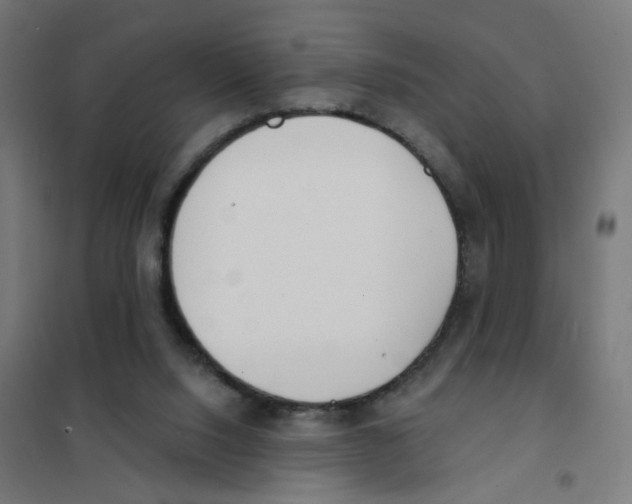 X0000101700064200808071209