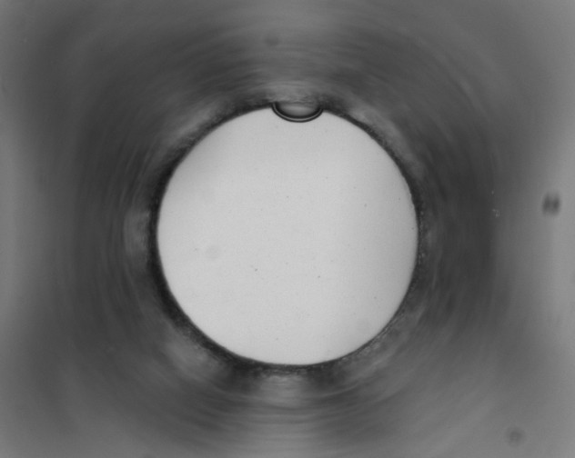X0000101700066200808071209