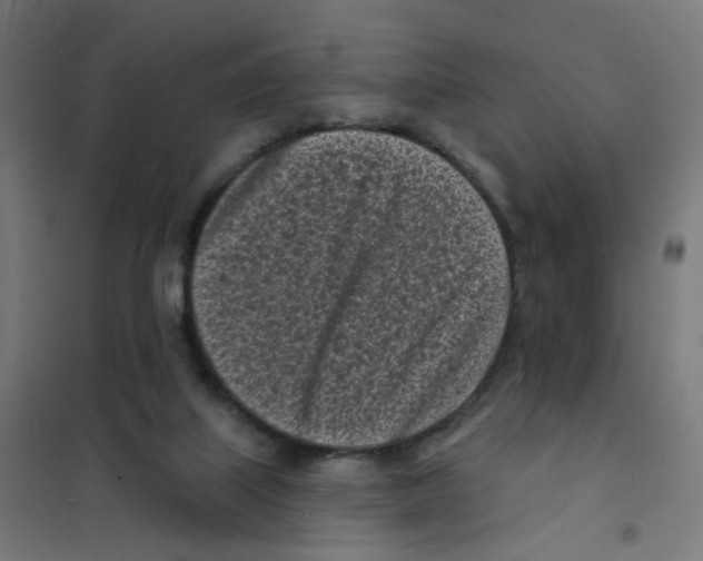 X0000101700067200808071209
