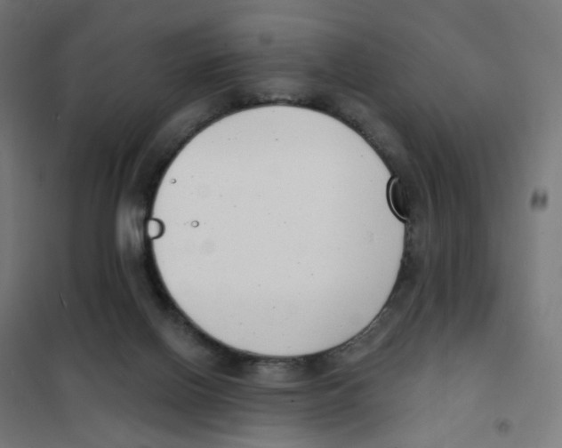 X0000101700070200808071209