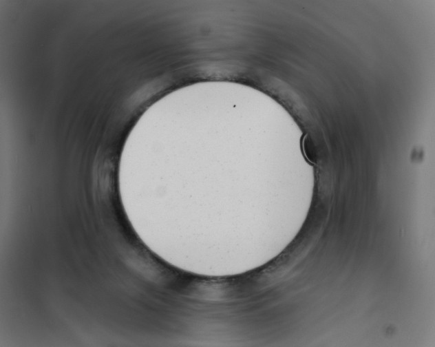 X0000101700071200808071209