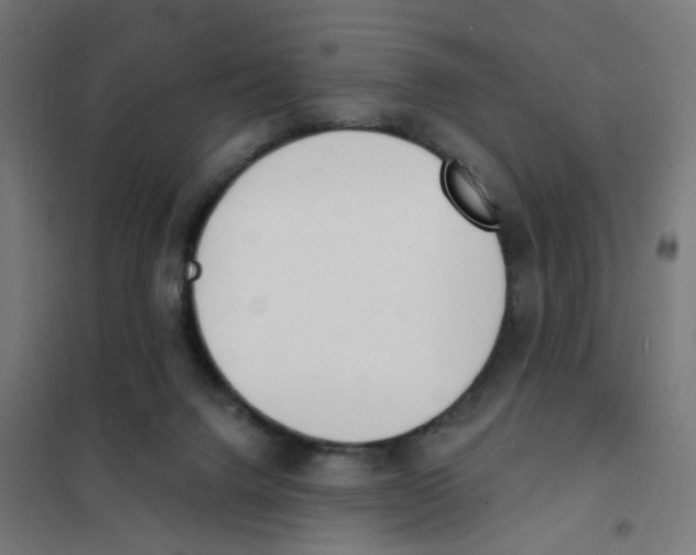 X0000101700072200808071209
