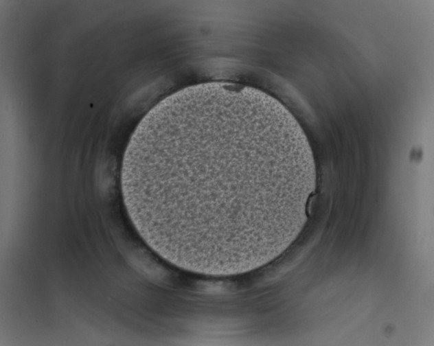 X0000101700073200808071209