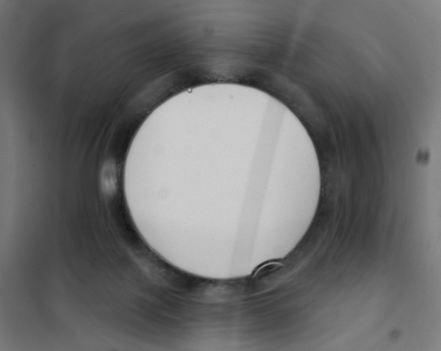 X0000101700075200808071209