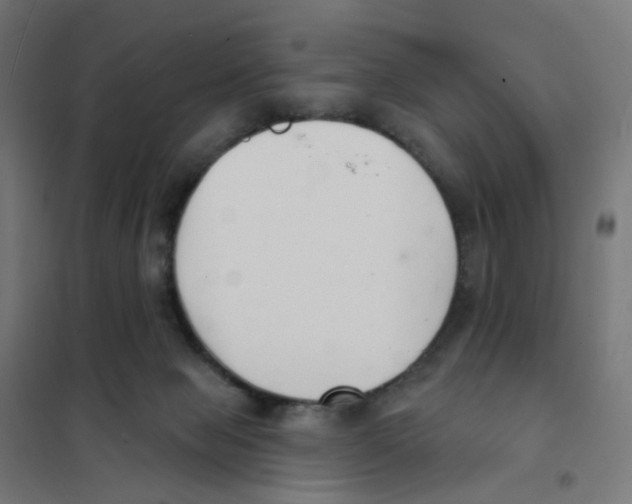 X0000101700077200808071209