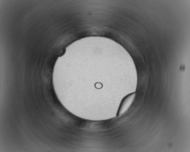 X0000101700078200808071209