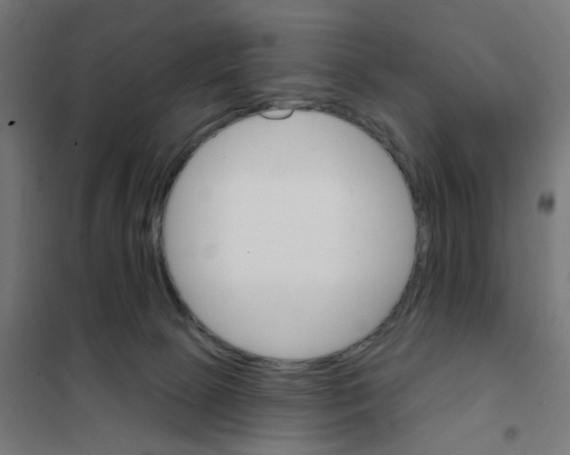 X0000101700081200808071209