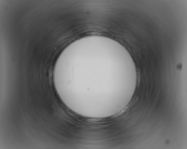 X0000101700082200808071209
