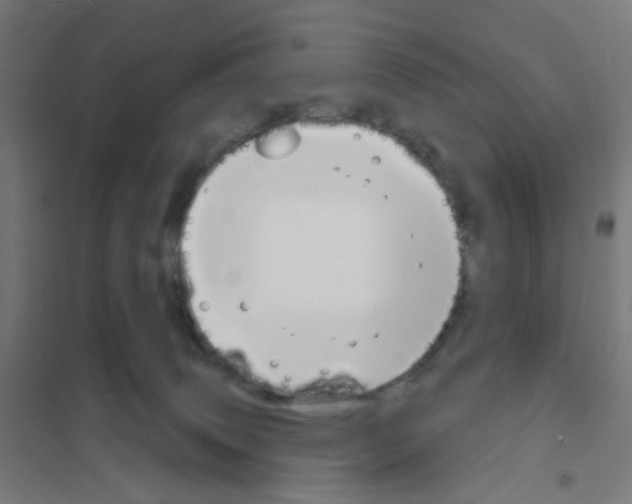 X0000101700083200808071209