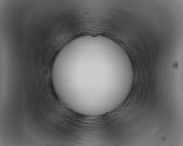 X0000101700084200808071209