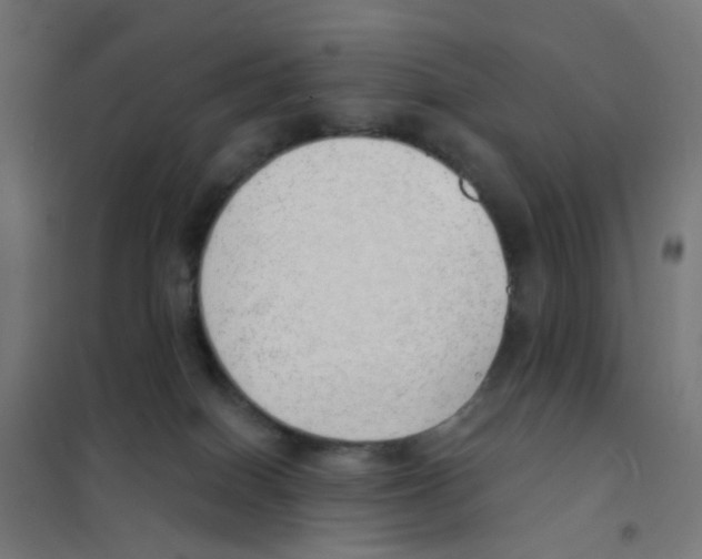 X0000101700086200808071209