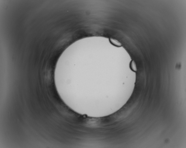 X0000101700088200808071209