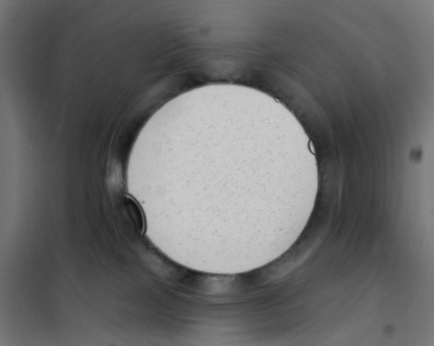 X0000101700089200808071209