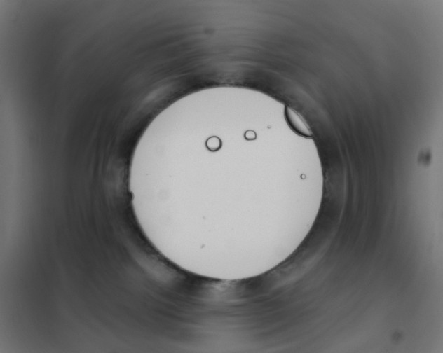 X0000101700092200808071209