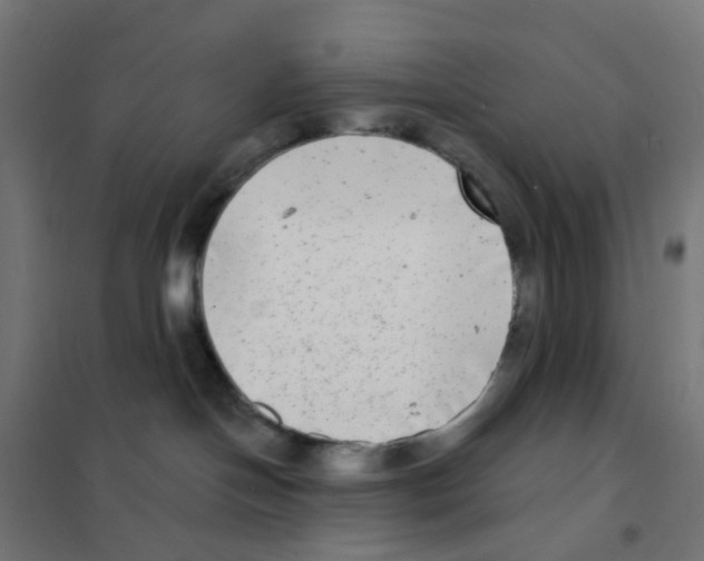 X0000101700094200808071209