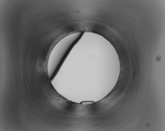 X0000101700096200808071209