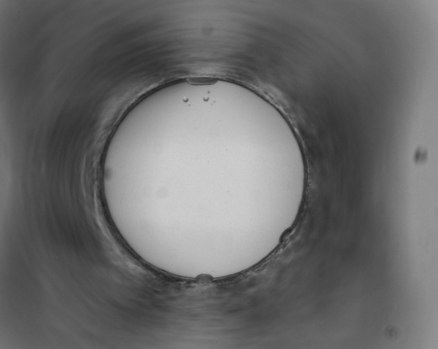 X0000101700097200808071208