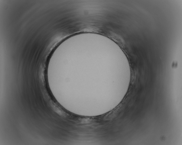 X0000101700098200808071208