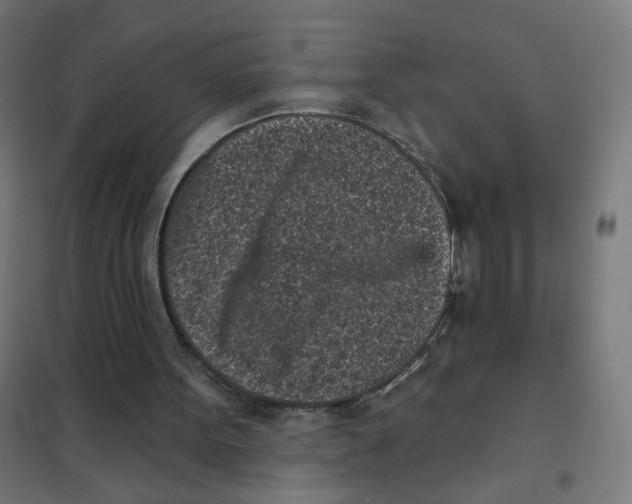 X0000101700099200808071208