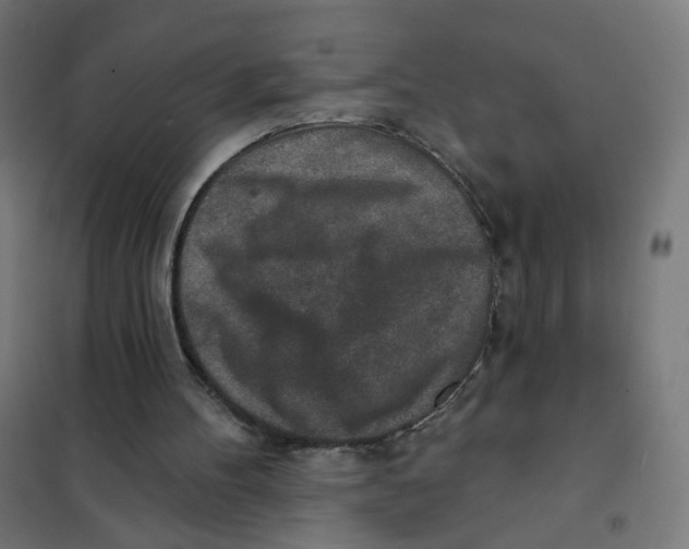 X0000101700100200808071208