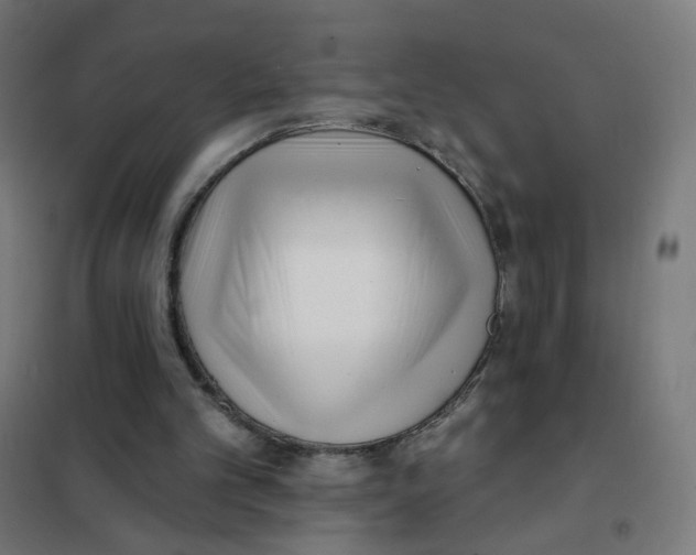 X0000101700101200808071208