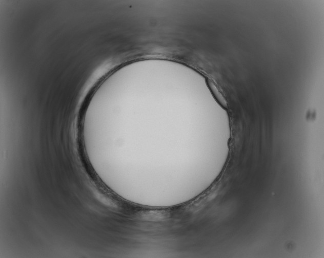 X0000101700102200808071208