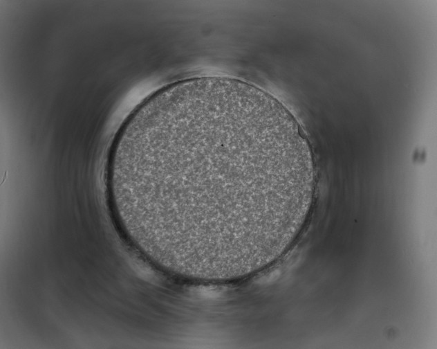 X0000101700103200808071208