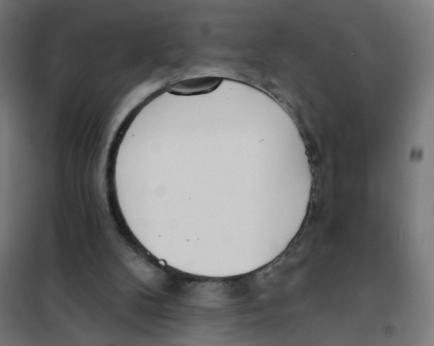 X0000101700104200808071208
