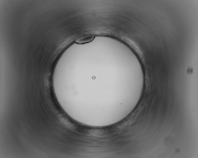 X0000101700105200808071208