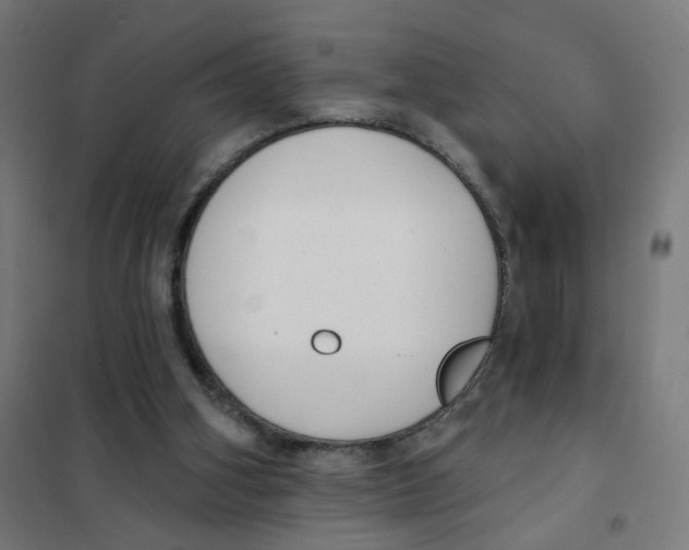 X0000101700106200808071208