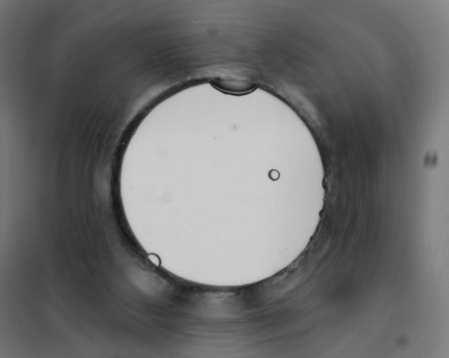 X0000101700108200808071208