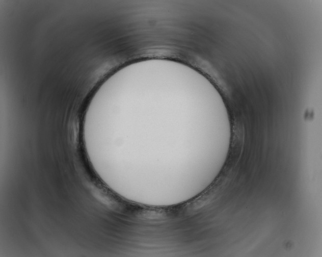 X0000101700110200808071208