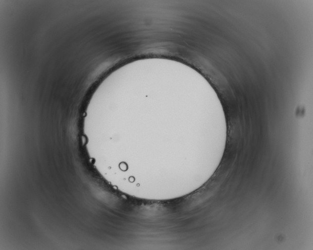 X0000101700112200808071208